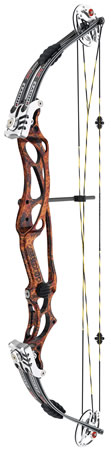 Hoyt Pro Elite XT3500 Target image